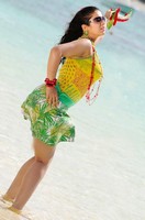 Charmi Stills